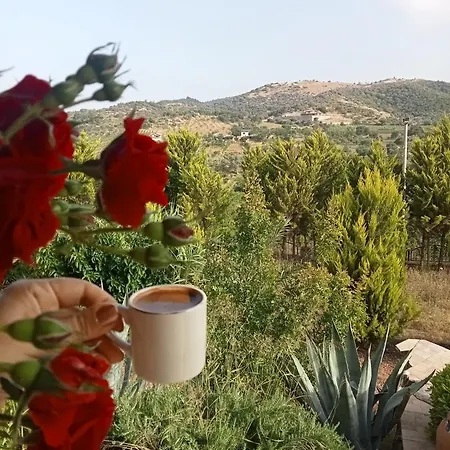 Βίλα Muhtesem Havuzlu *